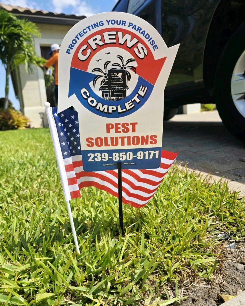 ccps lawn sign and american flag