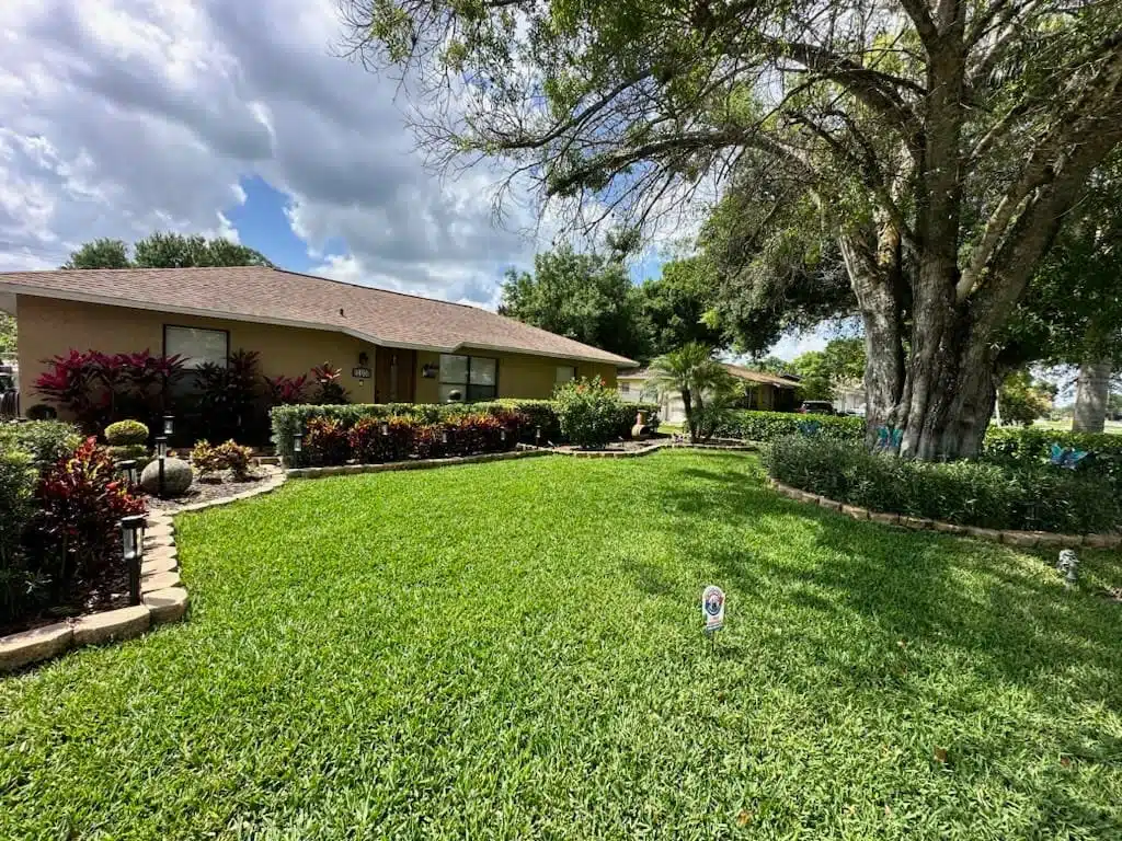 treated property green lawn and healthy ornamental planta treated property green lawn and healthy ornamental planta