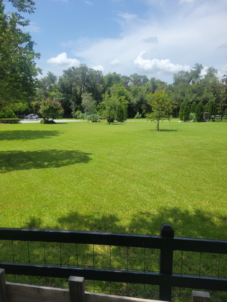 treated property vibrant green grass lawn