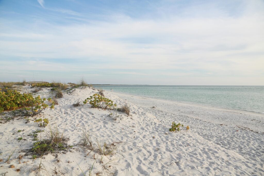 Breathtaking view of a serene white sand beach in Florida, showcasing clear skies and gentle ocean waves.