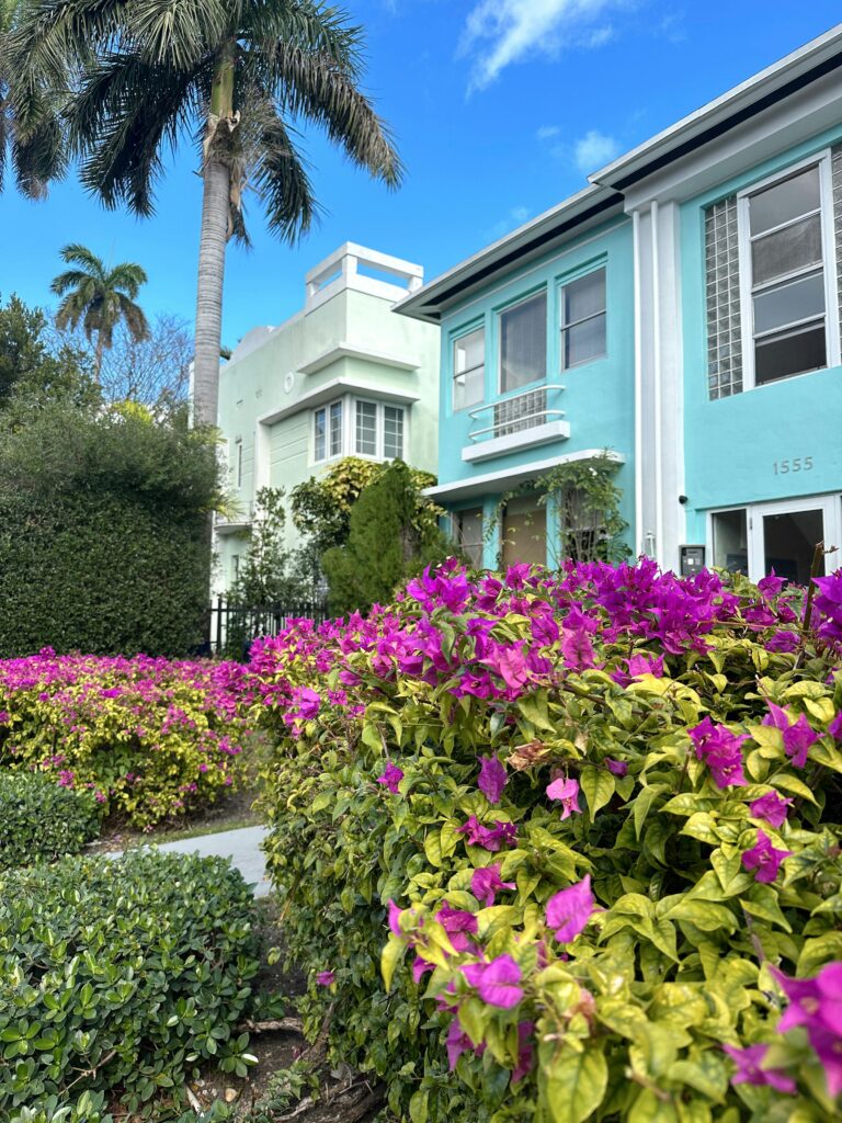 Vibrant bougainvillea in front of colorful tropical homes under a bright blue sky.