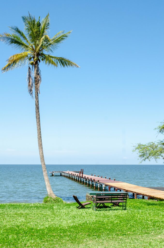 A tranquil ocean scene with a wooden pier, palm tree, and vibrant green lawn under a clear blue sky.