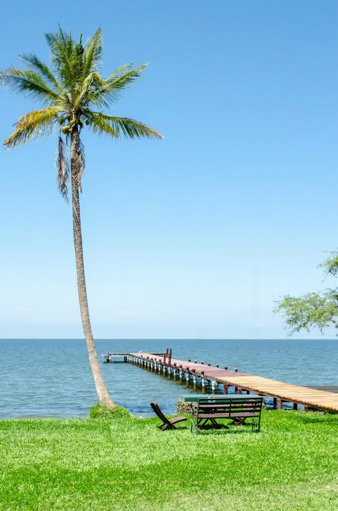A tranquil ocean scene with a wooden pier, palm tree, and vibrant green lawn under a clear blue sky.