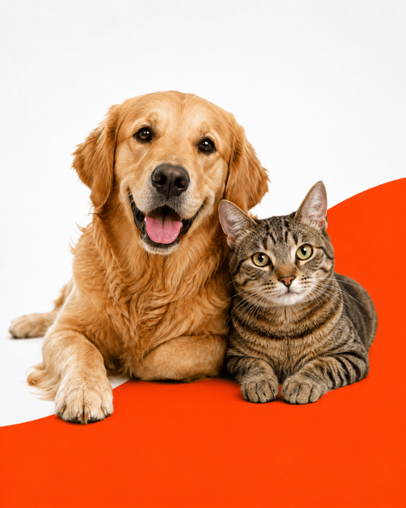 Flea and Tick Control on Orange Background